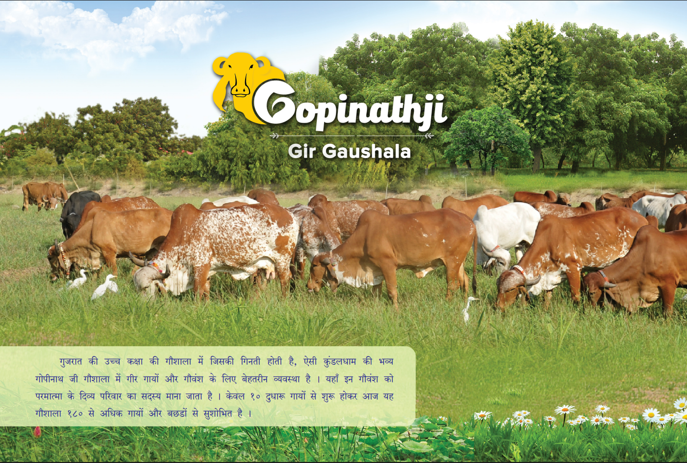 Gopinathji Gir Gaushala