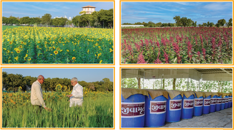 Prakrutik Kheti organic farm